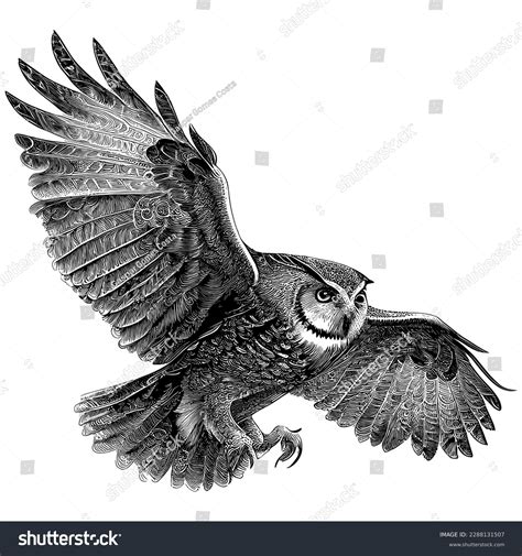 Hand Drawn Engraving Pen Ink Owl Stock Vector (Royalty Free) 2288131507 ...