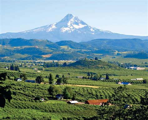 Elkton Oregon AVA approved in US - Decanter