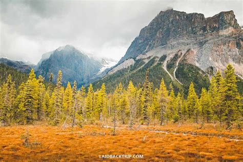 A Guide to Emerald Lake in Yoho National Park — LAIDBACK TRIP