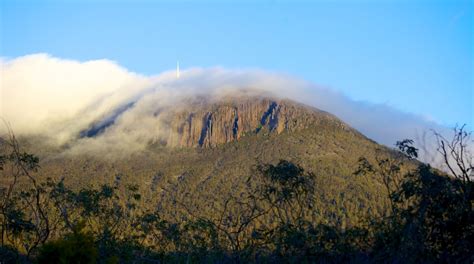 Visit Mt. Wellington in Wellington Park | Expedia