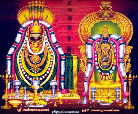 Tiruvannamalai Karthigai Deepam 2023 Date, Schedule - Daily Temple