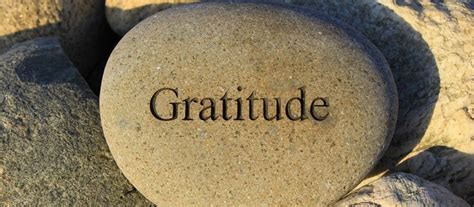 Why Gratitude? - My Thriving Life