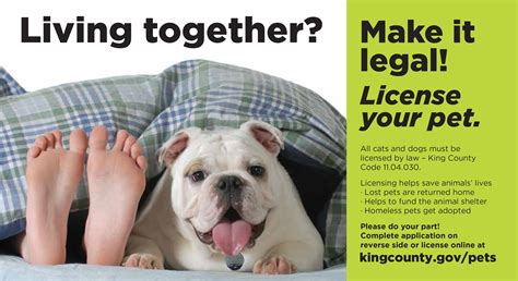 Purchase or renew a pet license - King County