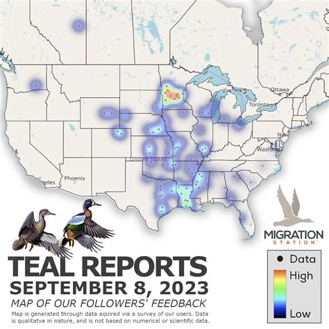 Teal Season Reports