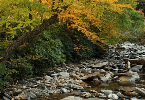 2023 ULTIMATE Smoky Mountain Fall Foliage Map + Guide | Fall foliage ...