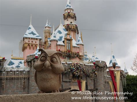 statues_disneyland_owl_castle | Life in Mouse Years