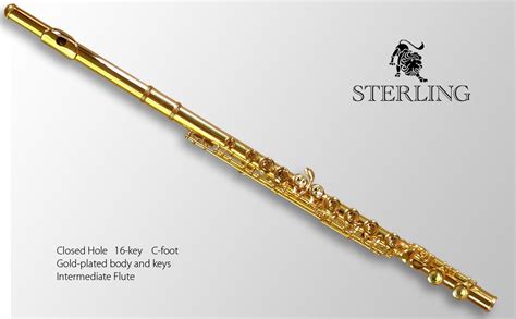 FLUTE 24k Gold-Plated 16 Key C-Foot • BRAND NEW • Student thru Intermediate • | eBay