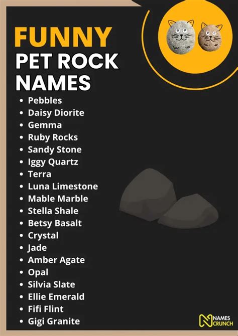 Funny Pet Rock Names [220+ Unique Ideas] - Names Crunch