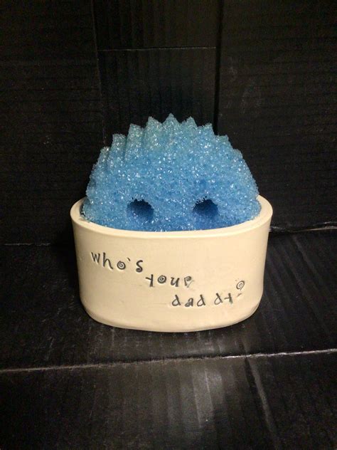 Pin on scrub daddy / sponge holder