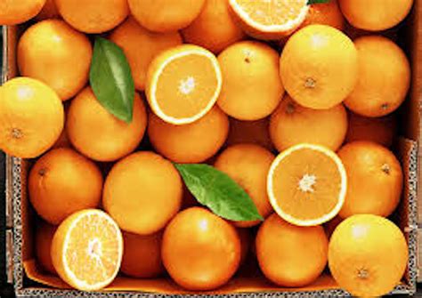 Organic FL Oranges by the pound | Florida Fields to Forks