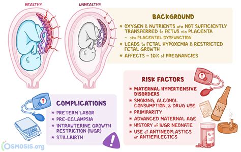 Placental insufficiency: What is it, Causes, Symptoms, Treatment, and ...