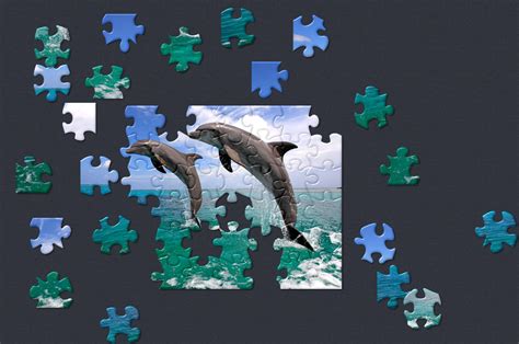 Dolphins puzzle from the Wild Animals Collection in Microsoft Jigsaw ...