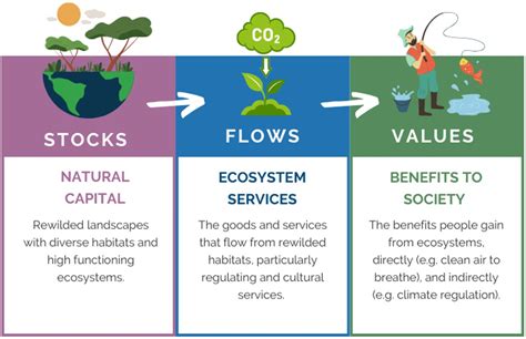 Natural Capital: Valuing Wild Landscapes