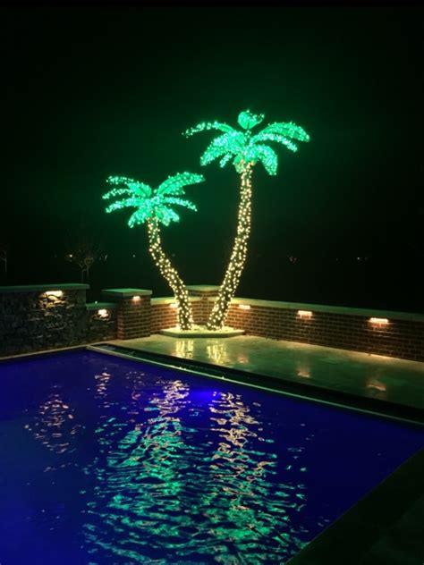 cco-holiday-lighted-palm-trees | Circle City Outdoors