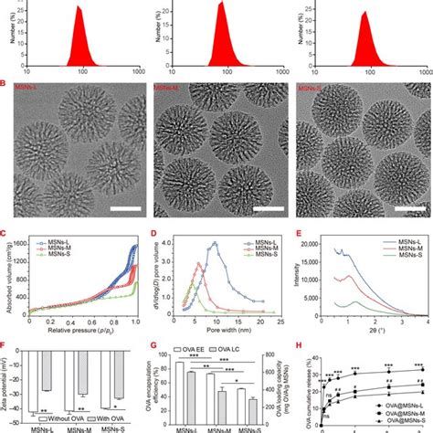 (PDF) The pore size of mesoporous silica nanoparticles regulates their antigen delivery efficiency