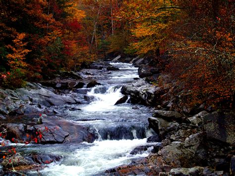 Free Images : landscape, nature, forest, waterfall, creek, wilderness, hiking, leaf, fall, shore ...