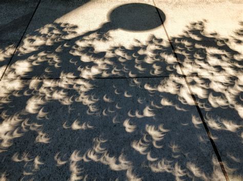 Photos: Eclipse makes for spooky shadows across Washington | KOMO