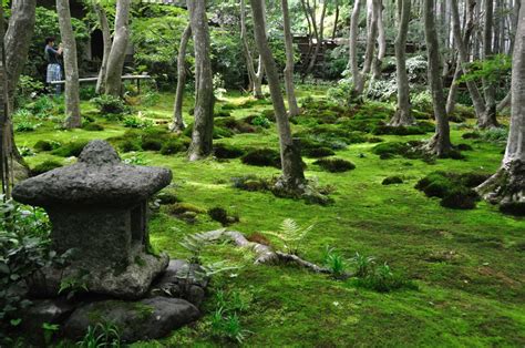 Pin by sonja mccanless on Wanderlust | Moss garden, Japanese garden ...