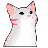Popping cat @StickersPackRobot - sticker set for Telegram and WhatsApp