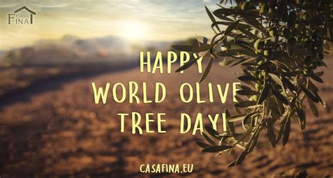 Happy World Olive Tree Day 2020! - Casa Fina