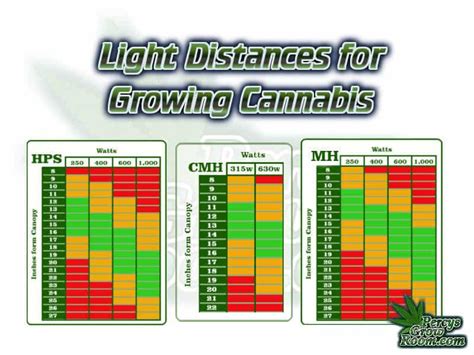 Plant Light Requirements Chart - Fepitchon