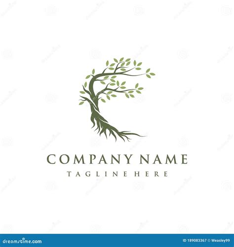 Tree and Roots Logo Design Vector Isolated, Abstract Mangrove Tree Logo Design Stock Vector ...