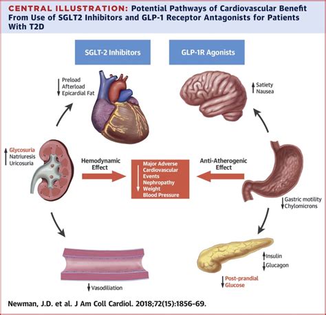 The Changing Landscape of Diabetes Therapy for Cardiovascular Risk Reduction,Journal of the ...