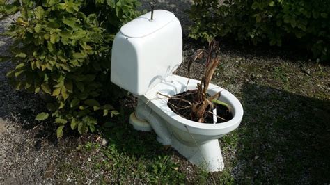 Do Plants Poop? - Pictellme