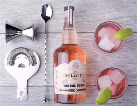 Best Pink Gins to Buy Now - Thrillist