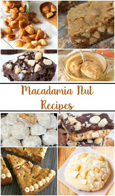 Macadamia Nut Recipes | Today's Creative Ideas