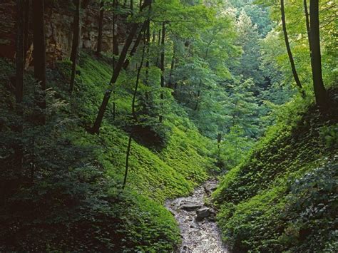 Shades State Park; Crawfordsville, Indiana | My Indiana Home | Pinterest | Parks, Activities and ...