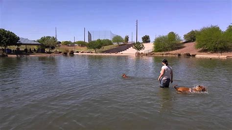 Cosmo Dog Park - Gilbert, AZ - YouTube