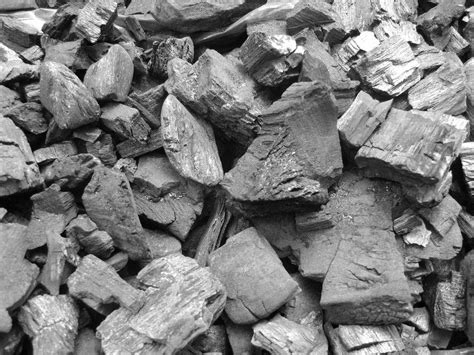 Wood Coal at best price in Bhuj by Shree Ganesh Minerals Trade | ID ...