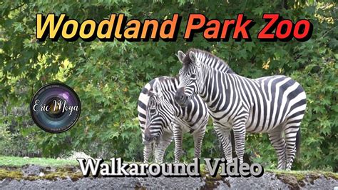 Woodland Park Zoo, Seattle, Washington 4K Walkaround Tour #zoo #safari - YouTube