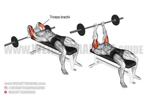 Lying barbell triceps extension exercise instructions and video