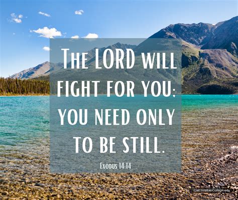 The Lord will fight for you: you need only to be still. Exodus 14:14 | Fight for you, Exodus ...