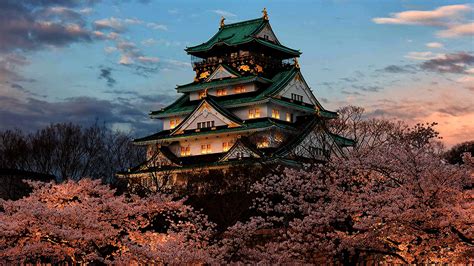 Japan – Osaka, Kyoto, Tyoko | Global Bee Holidays