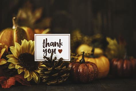 Thanksgiving – Gratitude | Green Groundswell