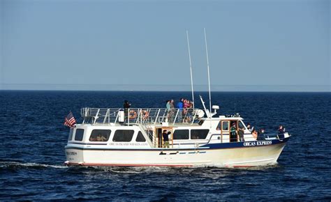 Orcas Express whale watch tour boat (Orcas Island, San Juan Islands, WA) | San juan islands ...