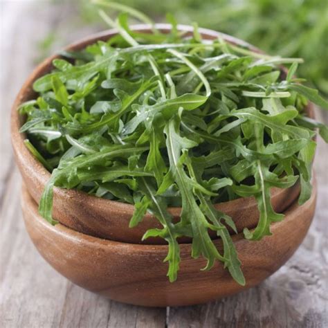 Organic Arugula Seeds - Wild | Vegetable Seeds in Packets & Bulk | Eden ...