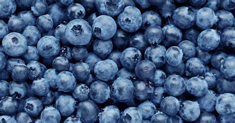 Blueberries 101: Nutrition Facts and Health Benefits