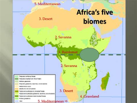 What are the 4 main biomes in Africa? - Rankiing Wiki : Facts, Films ...