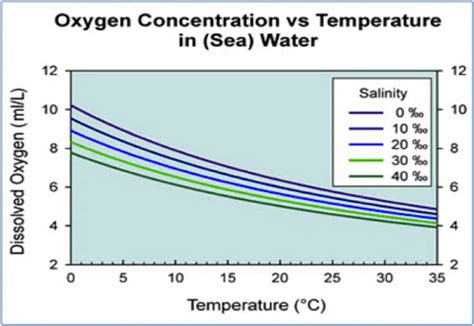 Learn More: Dissolved Oxygen - Sarasota County Water Atlas - Sarasota ...