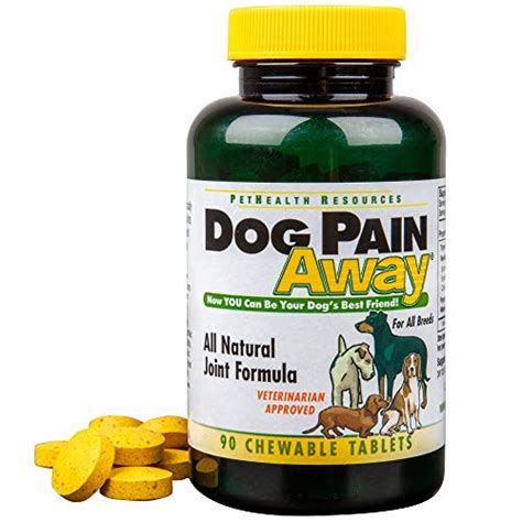 6 Best Dog Pain Relief Aids (Dog Pain Reliever Buying Guide)