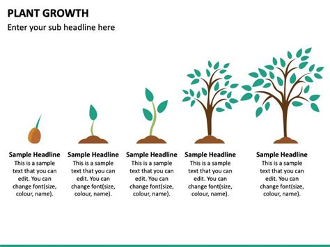 the stages of plant growth powerpoint slide templates and ppt slides ...