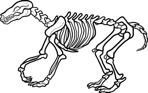 Dinosaur Skeleton Clip Art Free Clipart Images 2