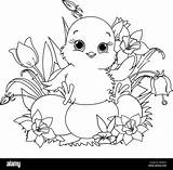 Easter Chick Coloring Pages sketch template