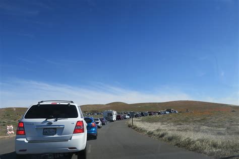 Antelope Valley Poppy Reserve - Jessb.org