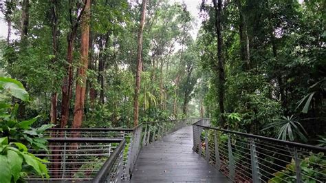 Learning Forest at Singapore Botanic Gardens — Stephen Caffyn Landscape Design