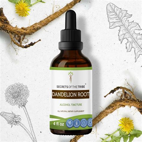 Dandelion Root Tincture Alcohol Extract, Organic Dandelion (Taraxacum ...